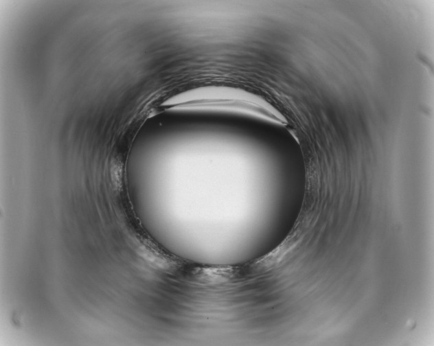 X0000094950188200712271706