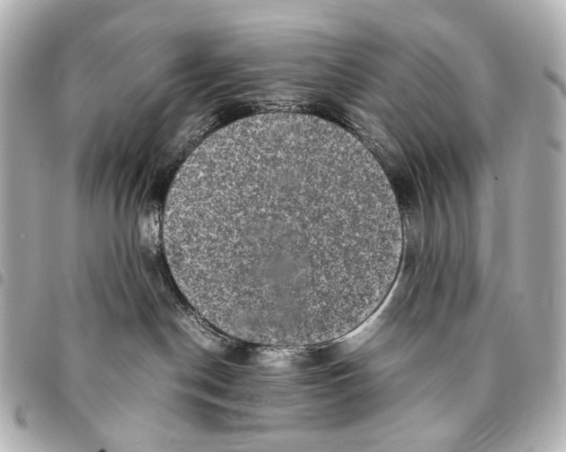 X0000094950190200712271706