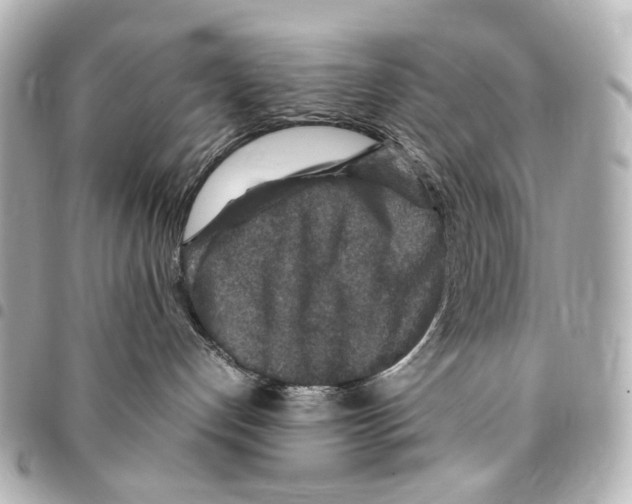 X0000094950192200712271706