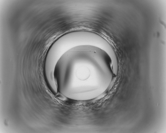 X0000094950193200712271705