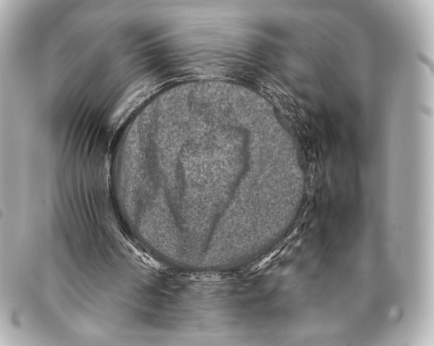 X0000094950194200712271705