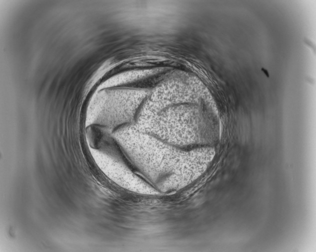 X0000094950195200712271705