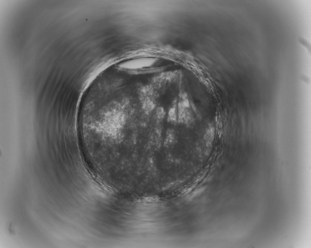 X0000094950196200712271705