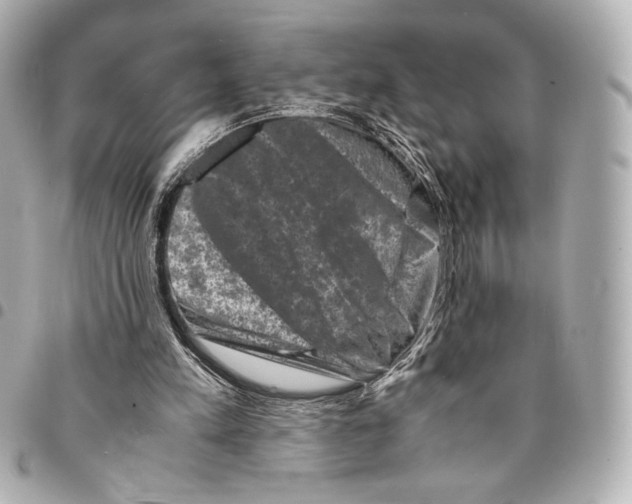 X0000094950197200712271705