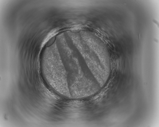 X0000094950198200712271705