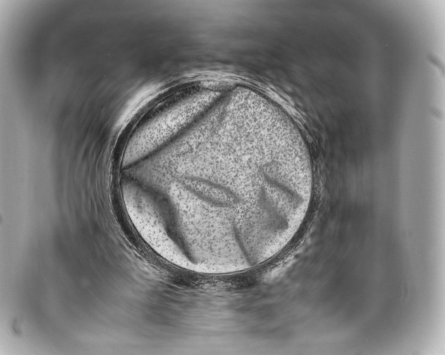 X0000094950199200712271705