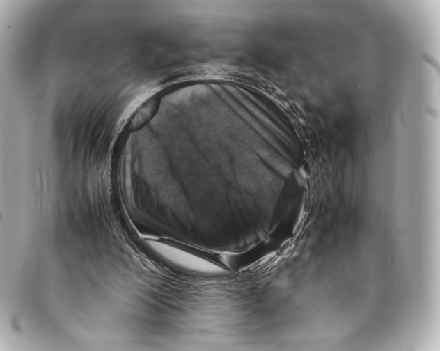 X0000094950200200712271705