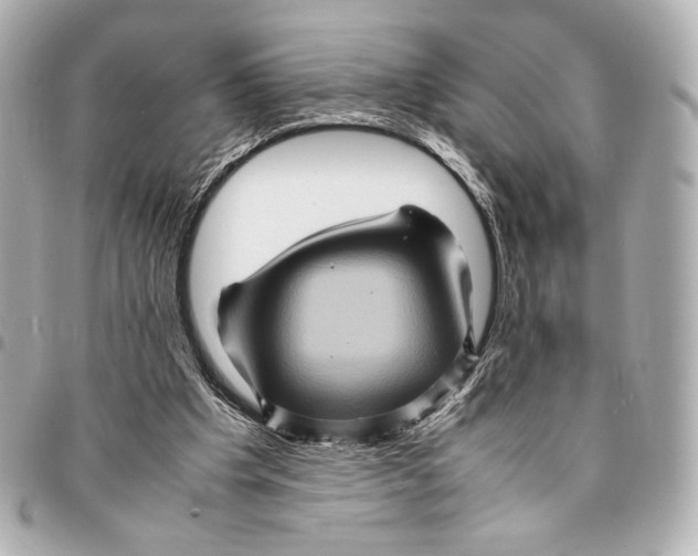 X0000094950201200712271705