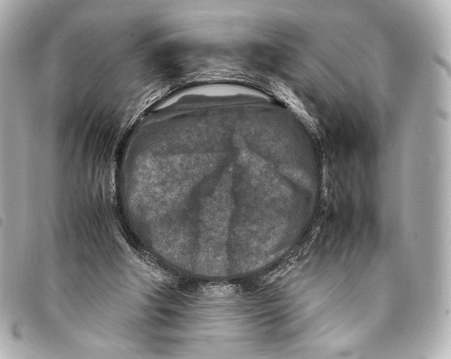 X0000094950202200712271705