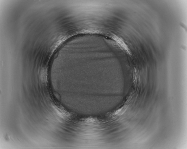 X0000094950204200712271705