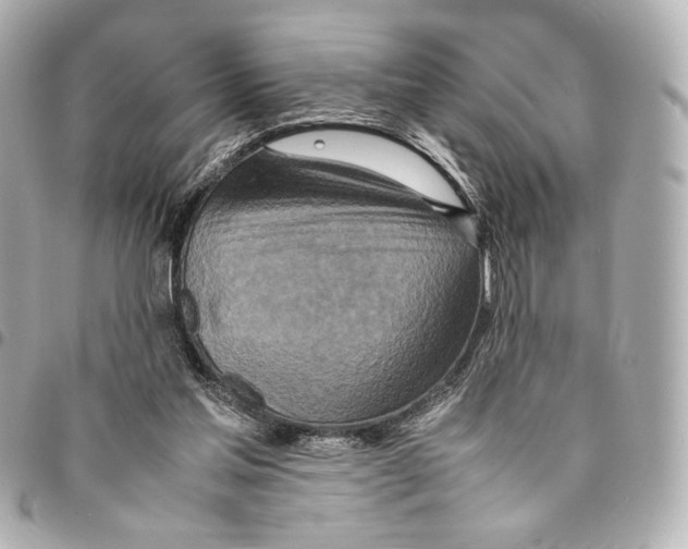 X0000094950205200712271705