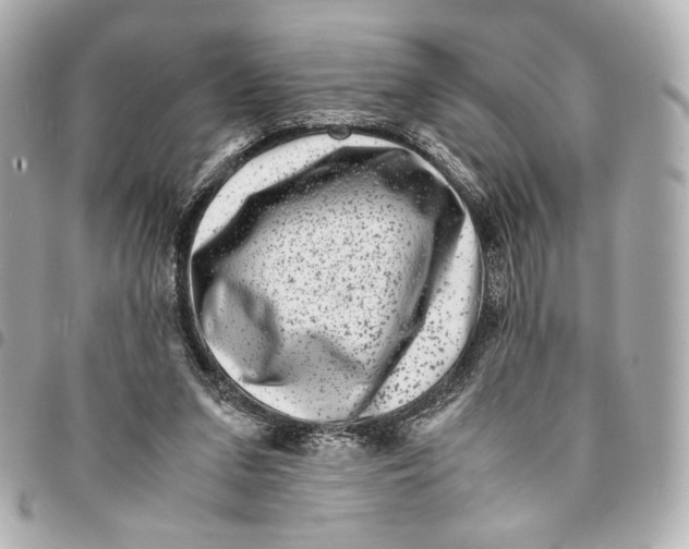 X0000094950207200712271705