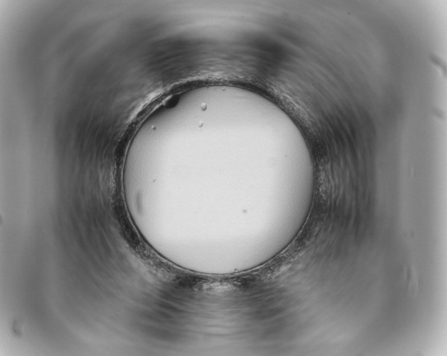 X0000094950208200712271705