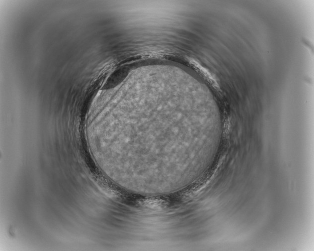 X0000094950209200712271705