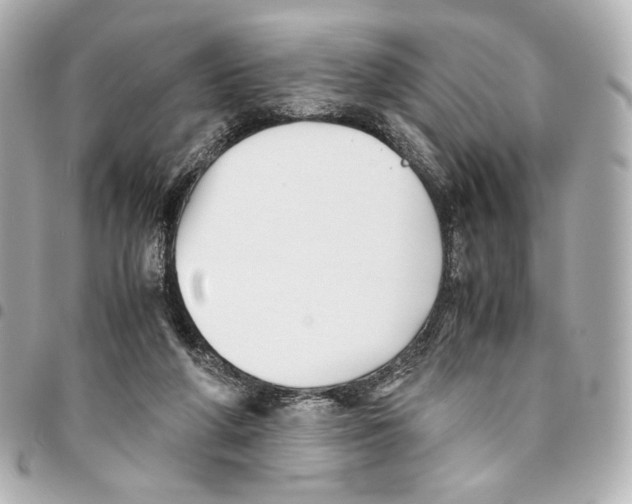 X0000094950210200712271705