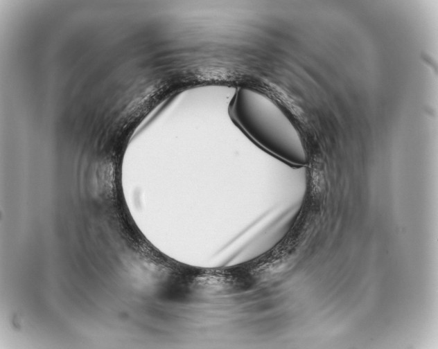 X0000094950211200712271705