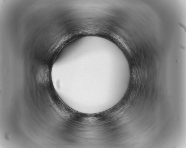 X0000094950212200712271705