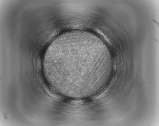 X0000094950213200712271705