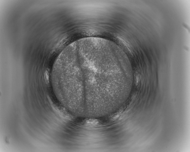 X0000094950214200712271705