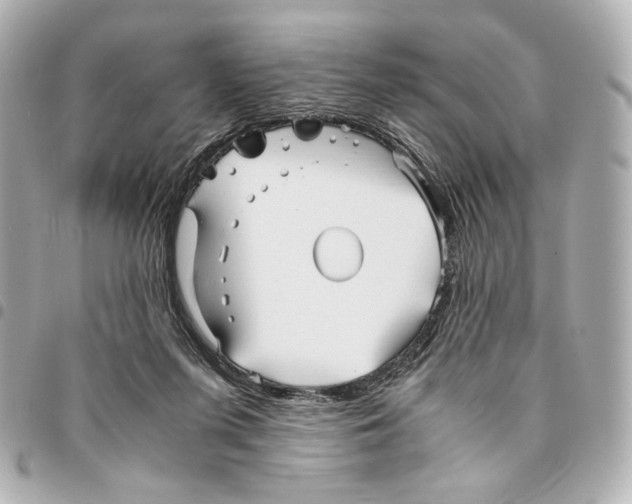 X0000094950215200712271705