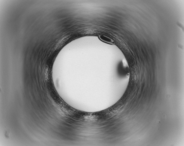 X0000094950216200712271705