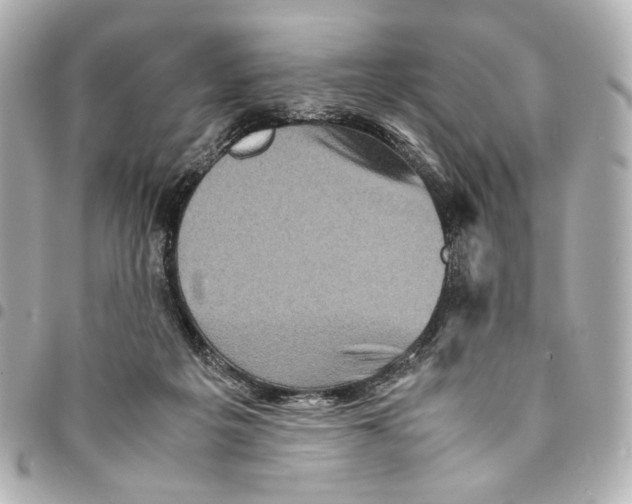 X0000094950217200712271705