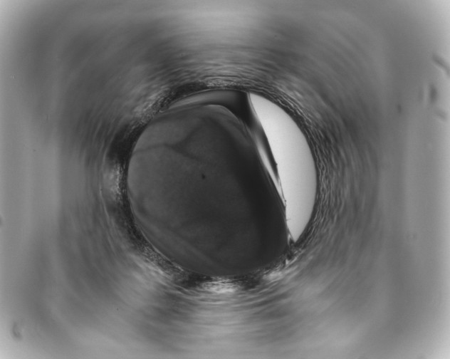 X0000094950219200712271705