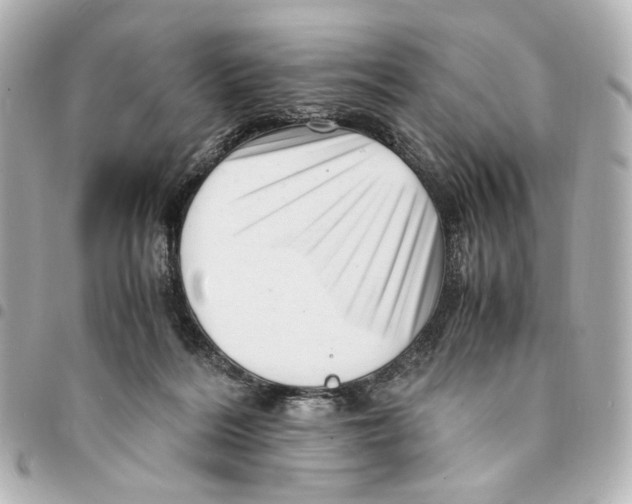 X0000094950220200712271704