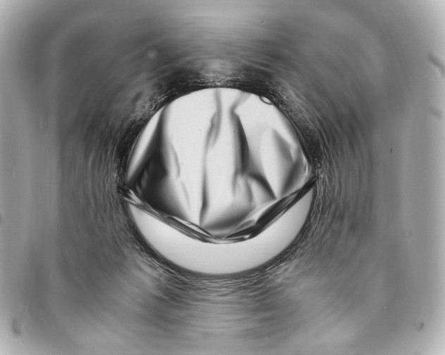 X0000094950221200712271704