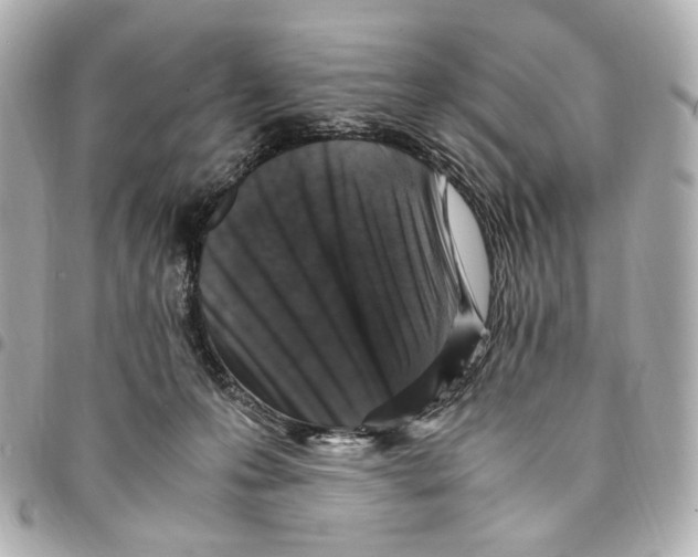 X0000094950223200712271704