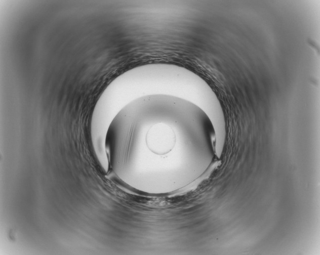 X0000094950225200712271704