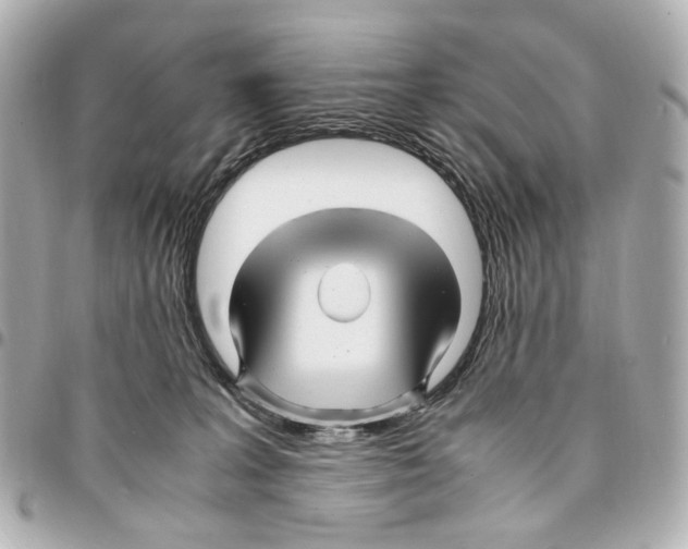 X0000094950227200712271704