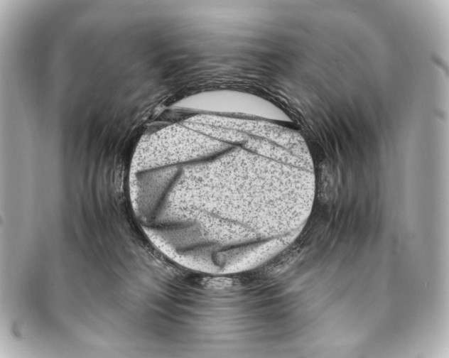 X0000094950230200712271704