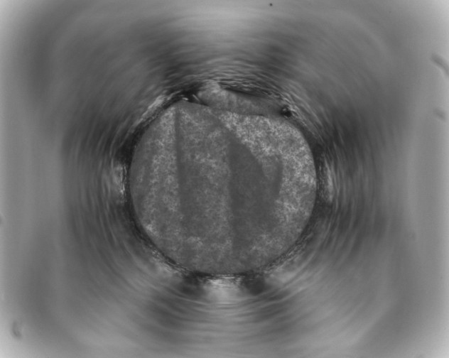 X0000094950232200712271704