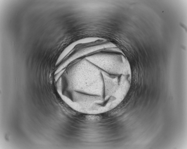 X0000094950234200712271704