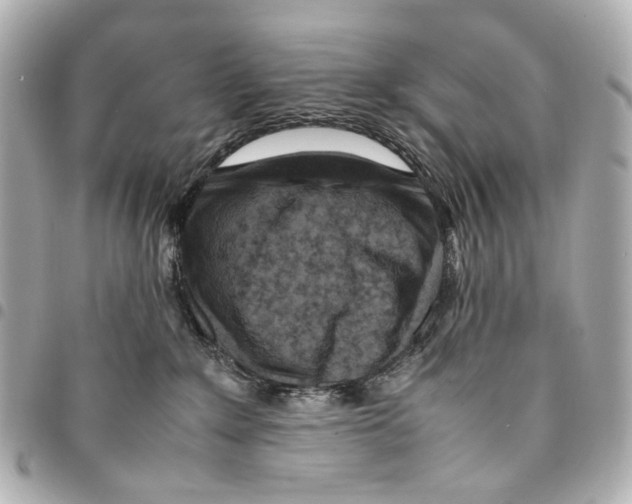 X0000094950235200712271704