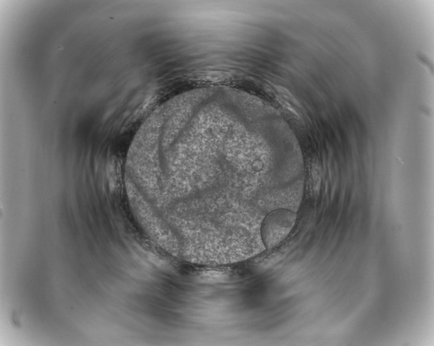 X0000094950236200712271704