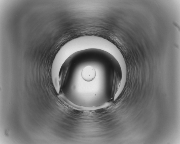 X0000094950237200712271704