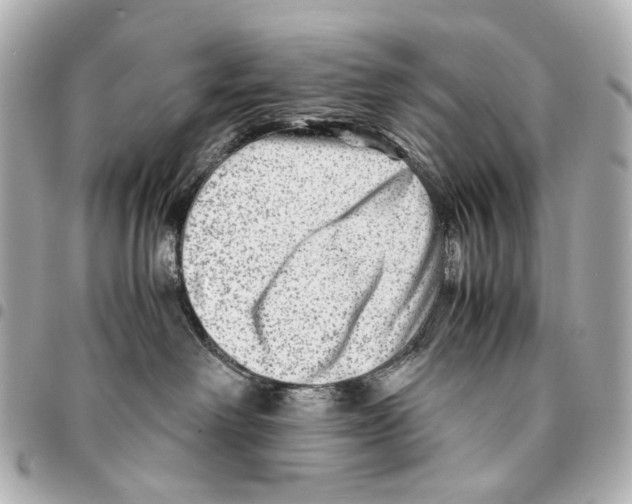 X0000094950238200712271704