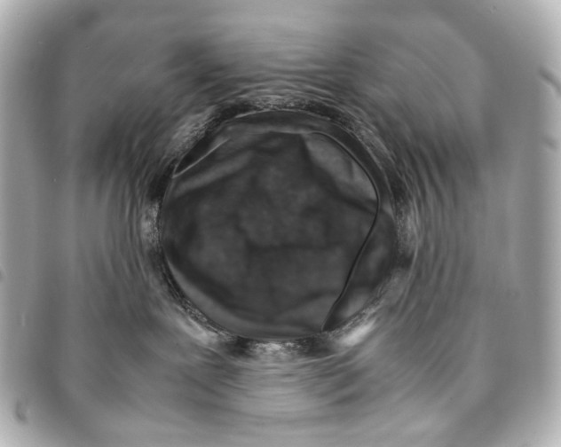 X0000094950239200712271704