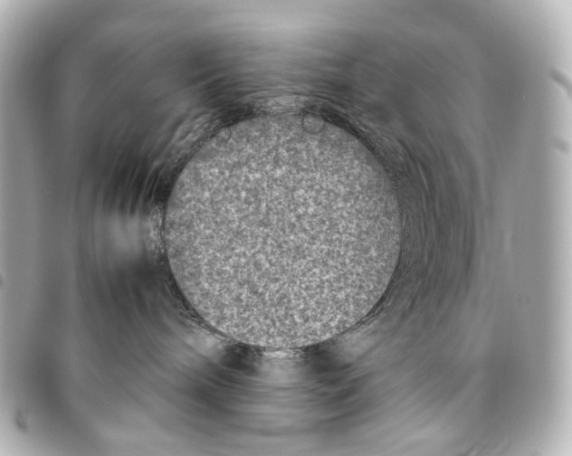 X0000094950240200712271704