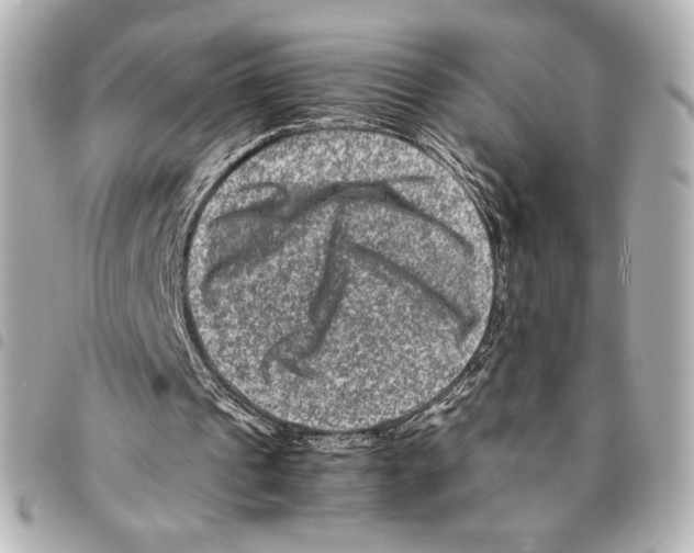 X0000094950241200712271704