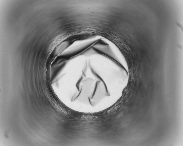 X0000094950242200712271704