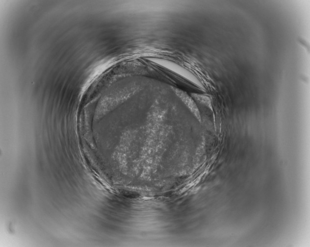 X0000094950244200712271704