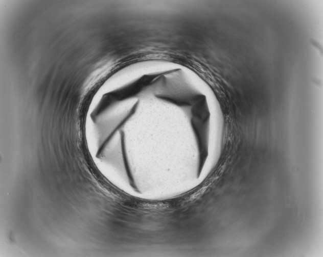 X0000094950245200712271704