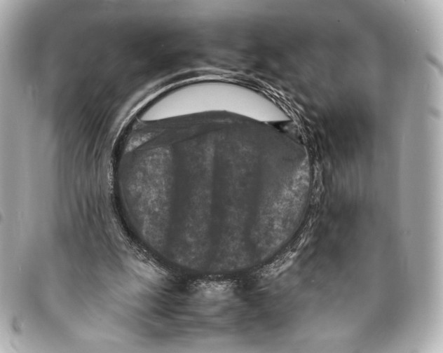 X0000094950247200712271704