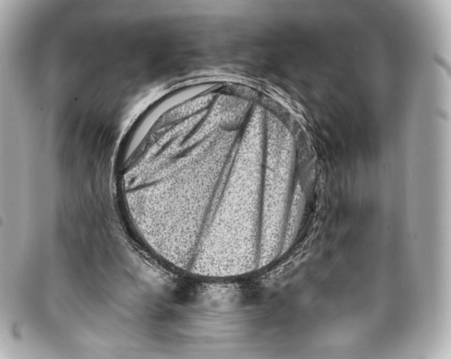 X0000094950248200712271704