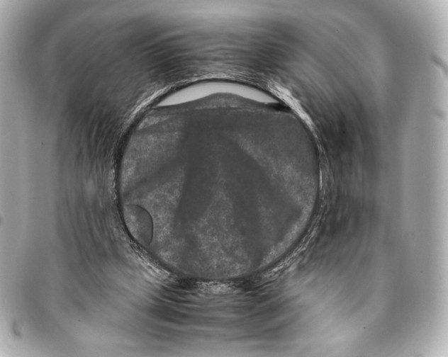 X0000094950249200712271704