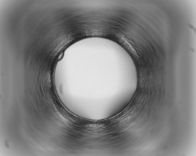 X0000094950251200712271704