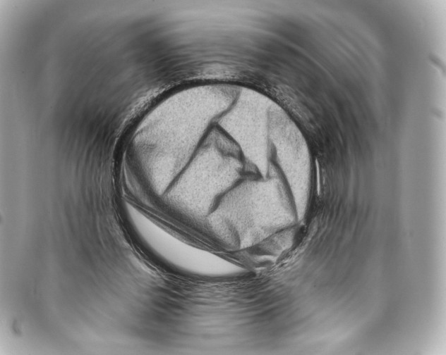 X0000094950252200712271704